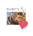 ぱぴぱぴパピヨン9（個別スタンプ：22）