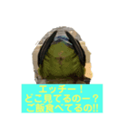 チビちゃん達の日常 2（個別スタンプ：4）