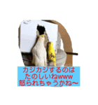チビちゃん達の日常 2（個別スタンプ：5）