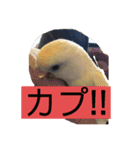 チビちゃん達の日常 2（個別スタンプ：7）