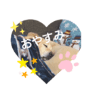 横手山ジョーンズ1（個別スタンプ：2）