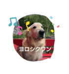 横手山ジョーンズ1（個別スタンプ：3）