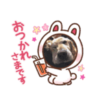 横手山ジョーンズ1（個別スタンプ：4）