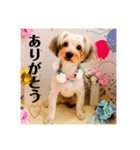 クロエしか勝たん。（個別スタンプ：8）
