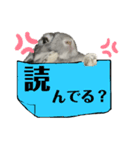 うさぎスタンプ！〜小太郎くん〜（個別スタンプ：32）
