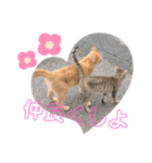 ツンデレ野良猫物語（個別スタンプ：15）