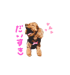peach yoshiga（個別スタンプ：2）