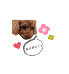peach yoshiga（個別スタンプ：7）