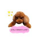 peach yoshiga（個別スタンプ：13）