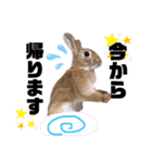 ちゅなときなこ（個別スタンプ：1）