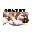 ちゅなときなこ（個別スタンプ：11）