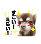 ちゅなときなこ（個別スタンプ：14）