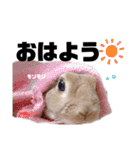 ちゅなときなこ（個別スタンプ：26）