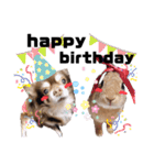 ちゅなときなこ（個別スタンプ：40）