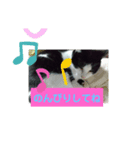 仲良しキャットファミリー15（個別スタンプ：2）