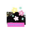仲良しキャットファミリー15（個別スタンプ：8）