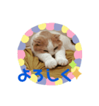 ふうた＆りら（個別スタンプ：1）