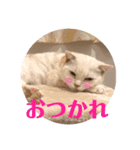 ふうた＆りら（個別スタンプ：2）