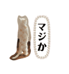 ふうた＆りら（個別スタンプ：4）