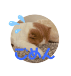 ふうた＆りら（個別スタンプ：7）