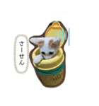 パンチルスタンプ（個別スタンプ：5）