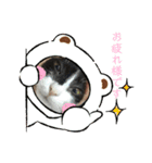 パンチルスタンプ（個別スタンプ：6）