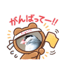 桜文鳥日常挨拶/チュンちゃん（個別スタンプ：8）