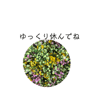 毎日贈る、愛され花々（個別スタンプ：9）