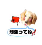 莉愛ちゃん,蘭愛ちゃん by晩ママ（個別スタンプ：5）