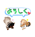 莉愛ちゃん,蘭愛ちゃん by晩ママ（個別スタンプ：7）