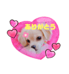 みーなちゃん（個別スタンプ：1）