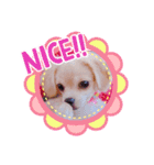みーなちゃん（個別スタンプ：3）
