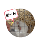 ねずはむ（個別スタンプ：5）