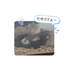 ねずはむ（個別スタンプ：8）