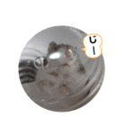ねずはむ（個別スタンプ：12）