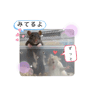 ねずはむ（個別スタンプ：15）