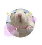 ねずはむ（個別スタンプ：16）