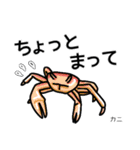 Water creature（個別スタンプ：17）