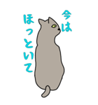 発言強めな猫様（個別スタンプ：30）