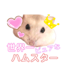プティングハムのたいぞー（個別スタンプ：1）