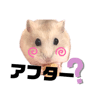 プティングハムのたいぞー（個別スタンプ：2）