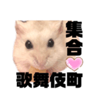 プティングハムのたいぞー（個別スタンプ：4）