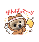 ポメポメアイス（個別スタンプ：10）