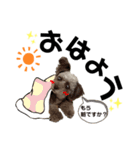 ラテちゃん,レイちゃん by晩ママ（個別スタンプ：2）