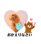 トイプードル ぷりんのスタンプ6（個別スタンプ：2）