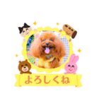 トイプードル ぷりんのスタンプ6（個別スタンプ：4）