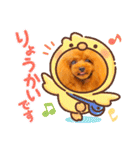 トイプードル ぷりんのスタンプ6（個別スタンプ：28）