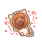 トイプードル ぷりんのスタンプ6（個別スタンプ：29）