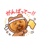 トイプードル ぷりんのスタンプ6（個別スタンプ：30）