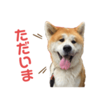 すえきち（個別スタンプ：4）